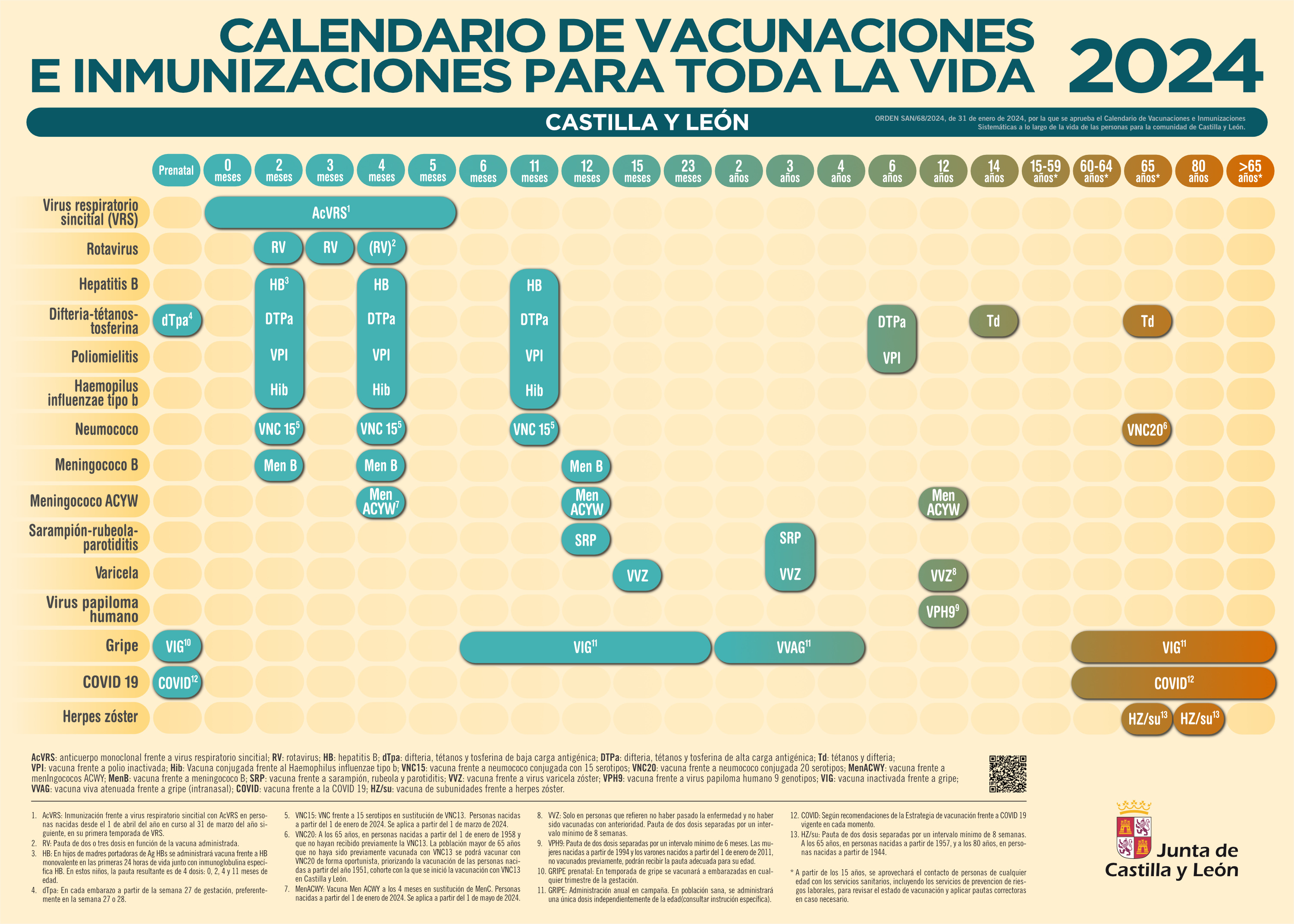 Nuevo Calendario de vacunaciones de inmunizaciones para toda la vida